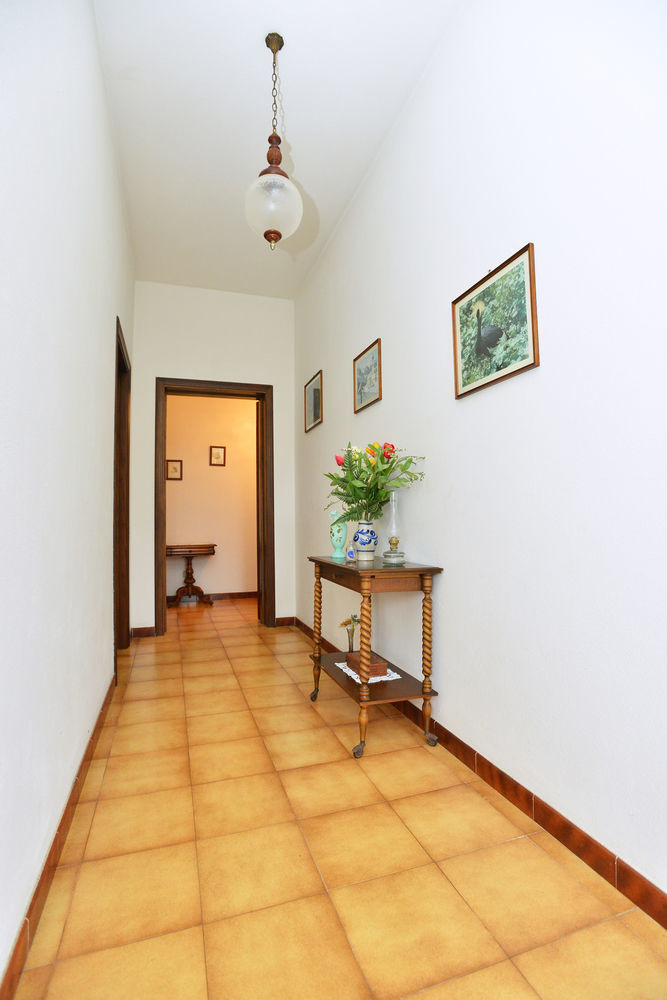 Izzhome Cozy Sunflowers Pula Buitenkant foto